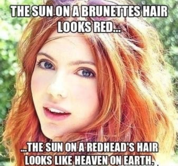 funnymemes501_031