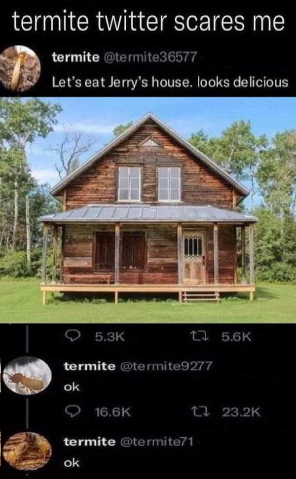 funnymemes502_001