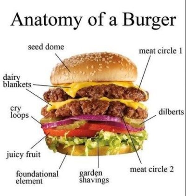 funnymemes502_037