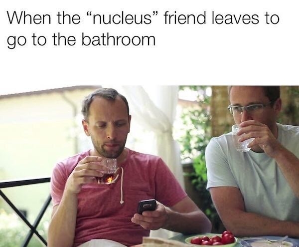 funnymemes503_033