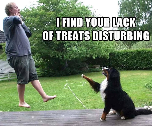 horrormoviememes15_007