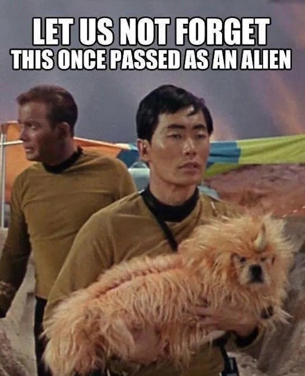 horrormoviememes15_014