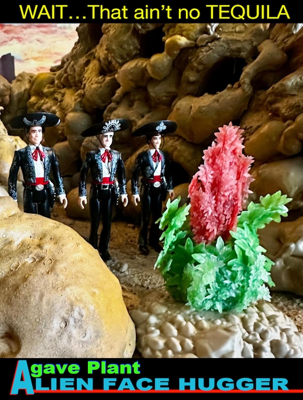 horrormoviememes15_019