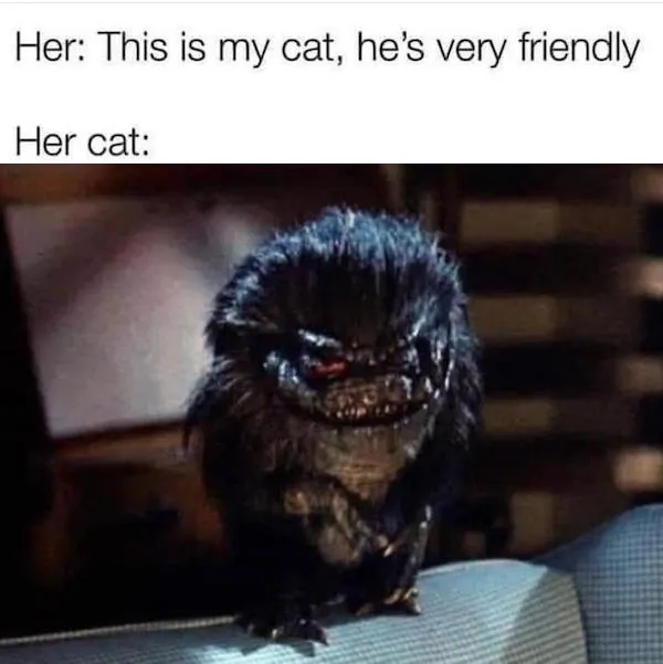 horrormoviememes15_035