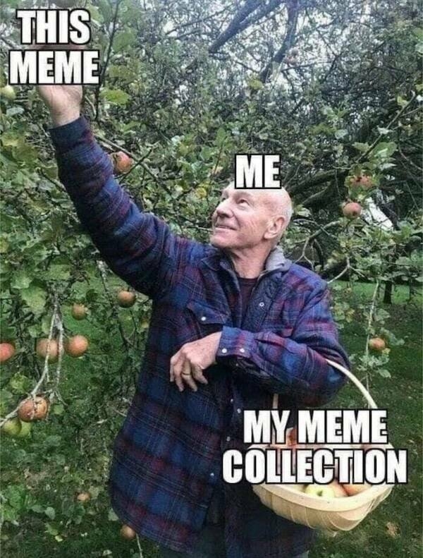 horrormoviememes15_044