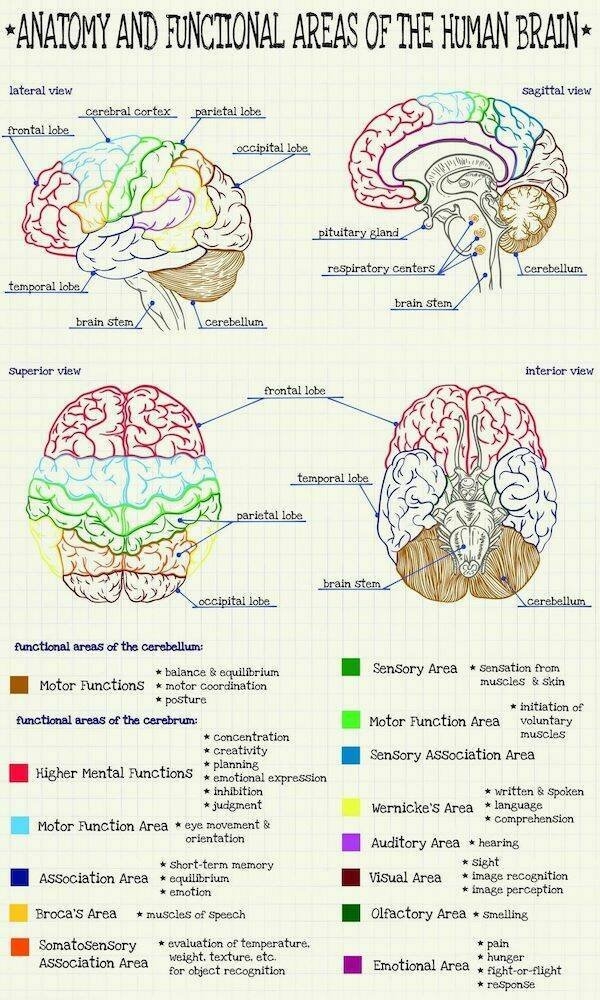 interestingdata55_021