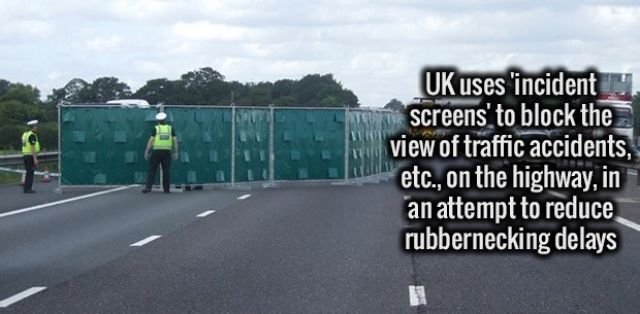 interestingfacts341_011