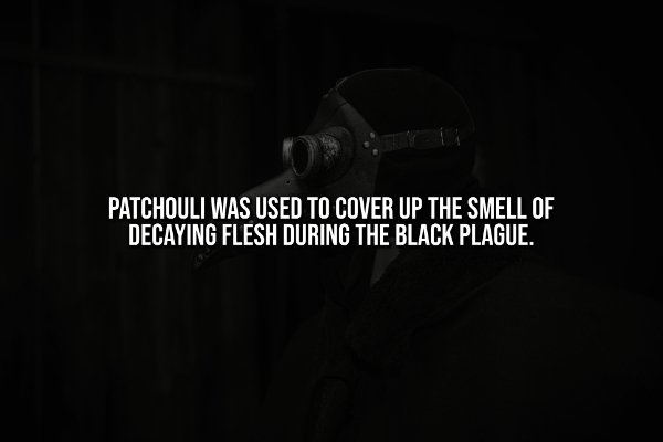 interestingfacts342_002