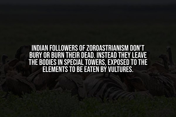 interestingfacts342_003