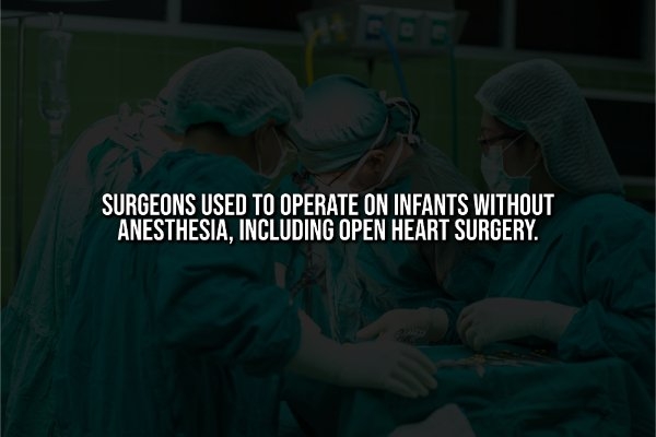 interestingfacts342_004