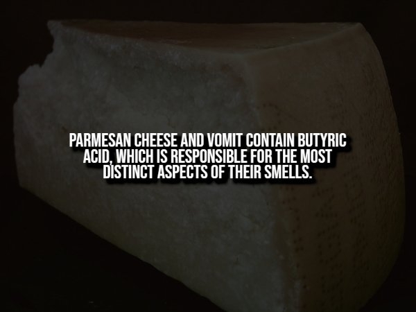 interestingfacts342_007