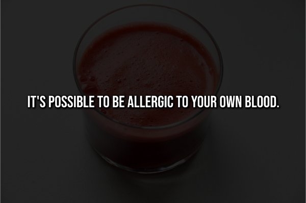 interestingfacts342_008