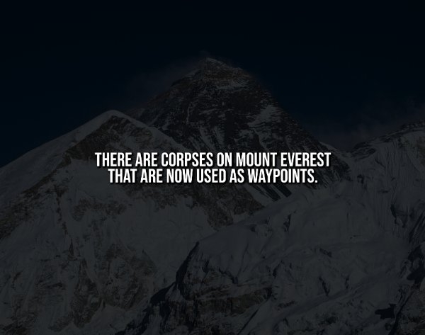 interestingfacts342_012