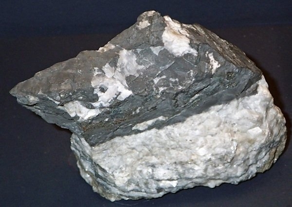 interestingfacts343_011