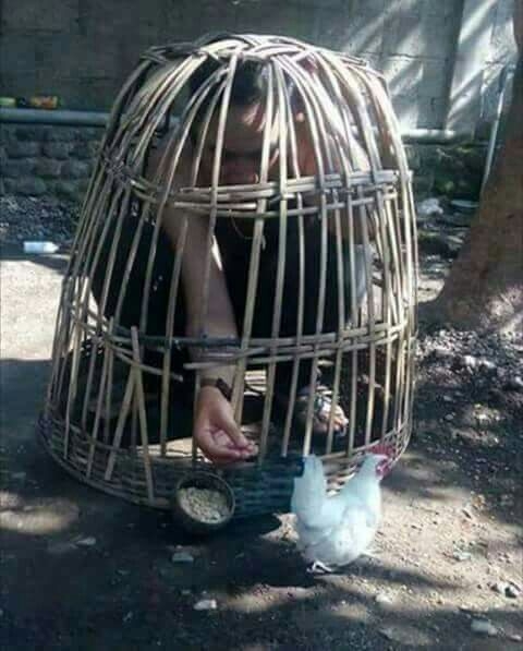 interestingfacts343_019