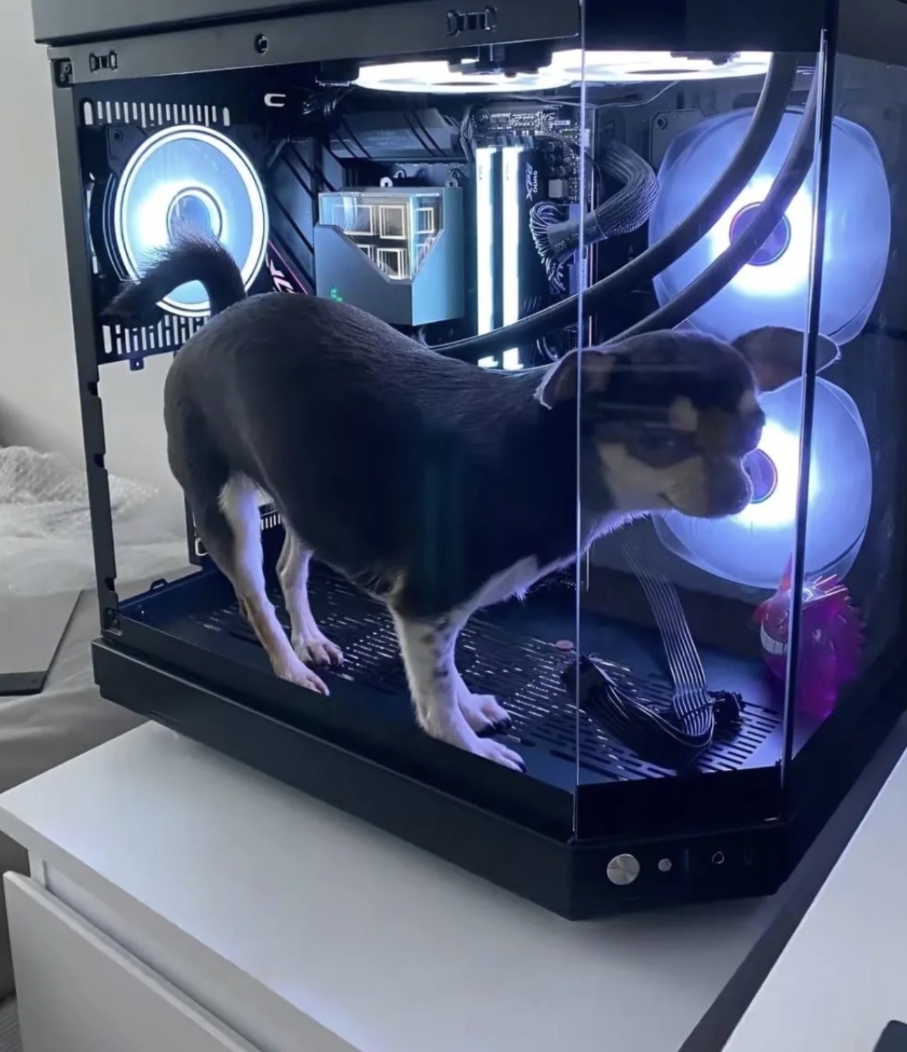 interestingfacts343_025