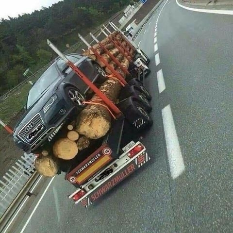 interestingfacts343_028