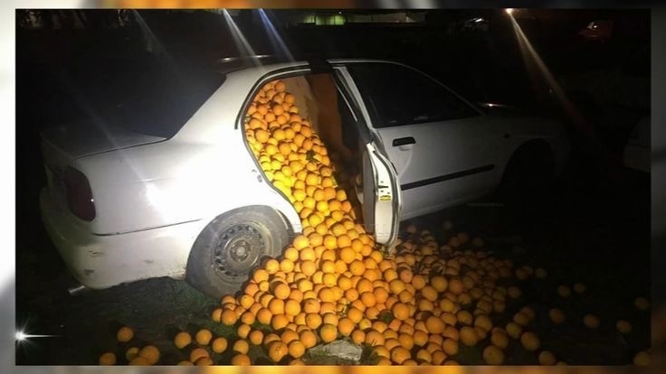 interestingfacts343_031