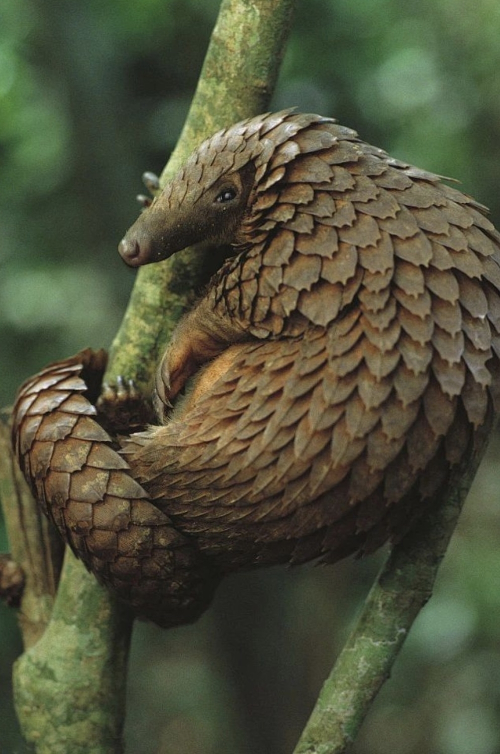 interestingfacts343_036