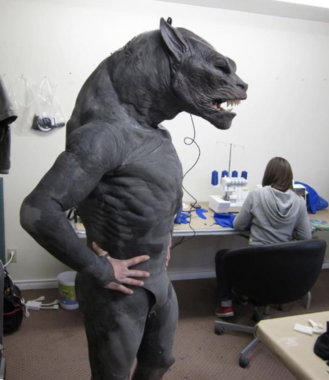 interestingfacts343_046