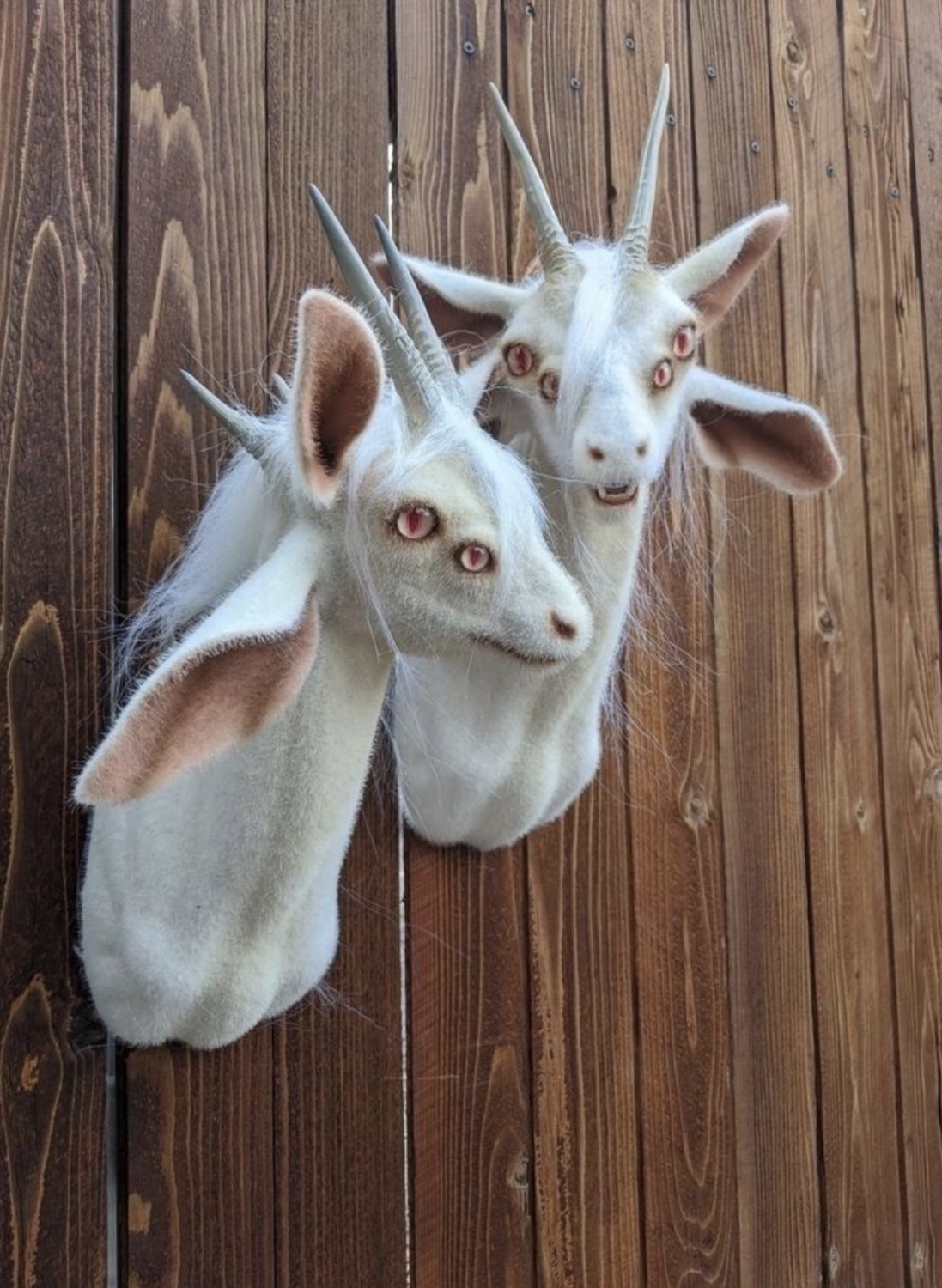 interestingfacts343_056