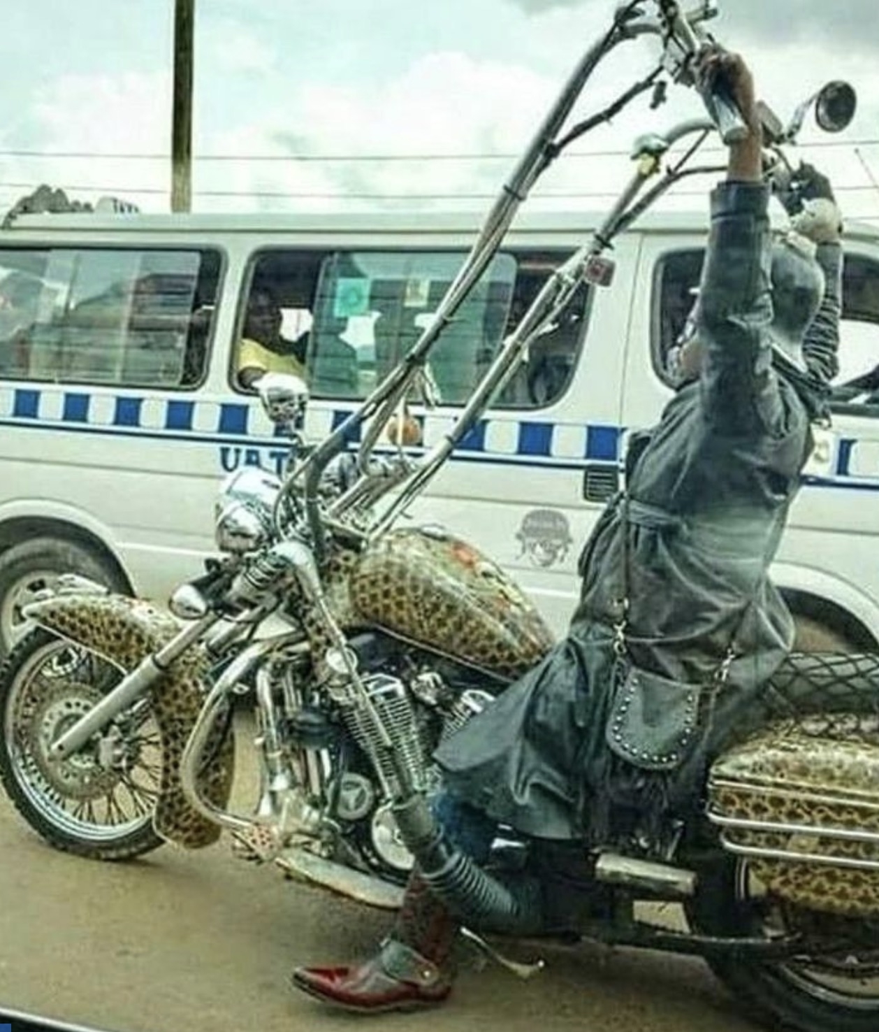 interestingfacts343_057