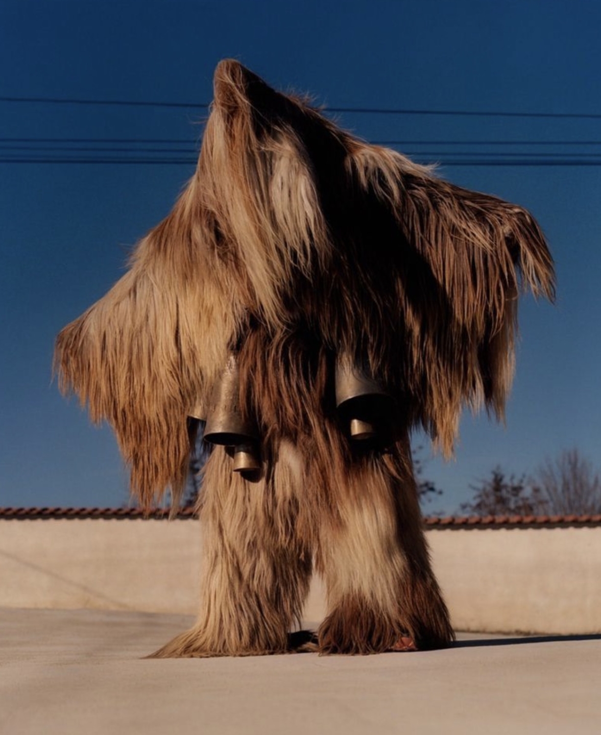 interestingfacts343_062