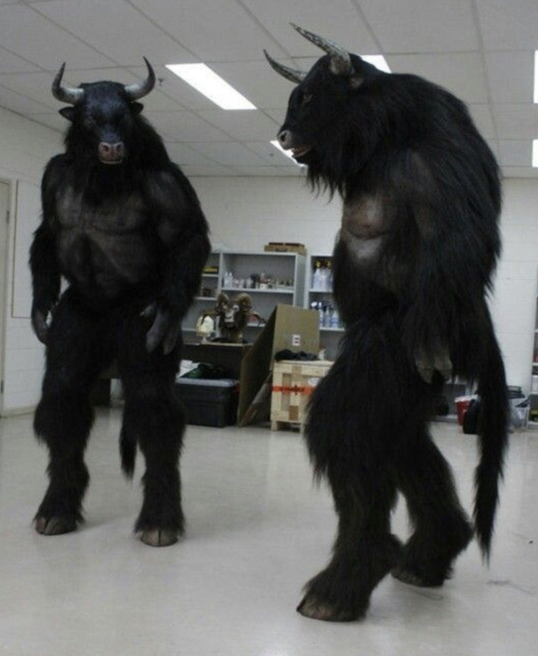 interestingfacts343_067