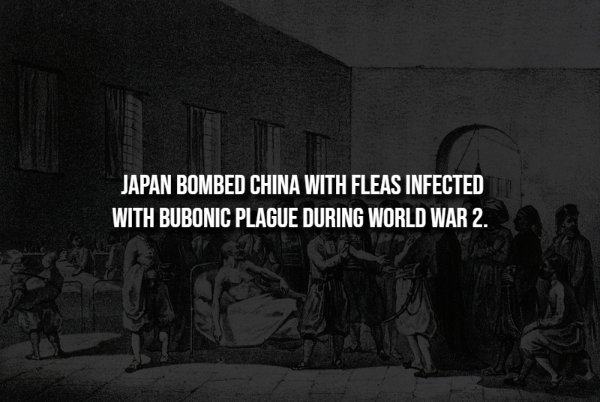 interestingfacts344_001