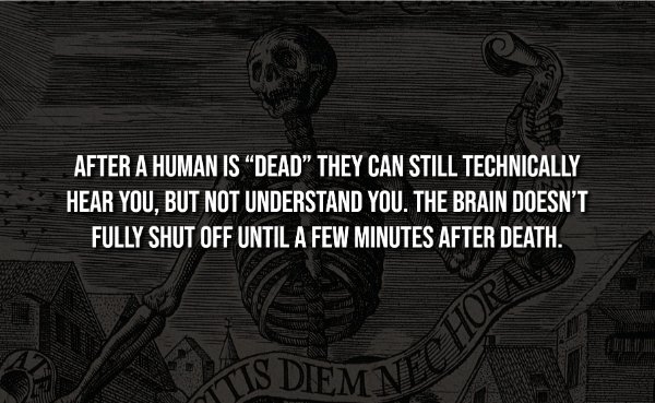interestingfacts344_002