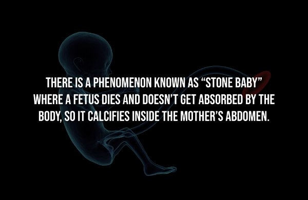 interestingfacts344_004