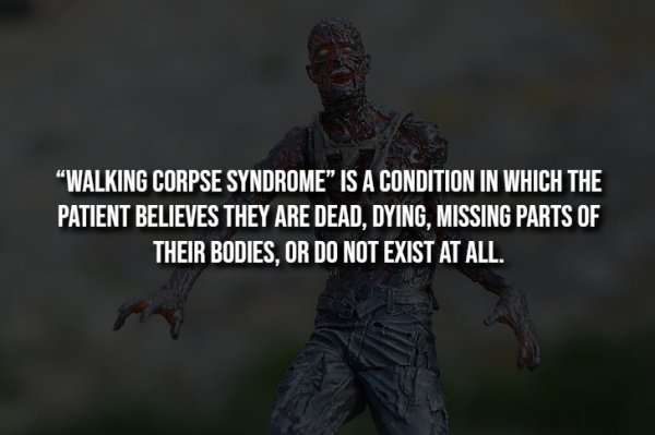 interestingfacts344_006