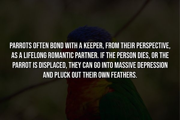 interestingfacts344_008