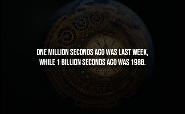 interestingfacts344_009
