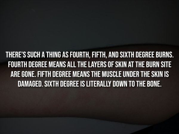 interestingfacts344_012