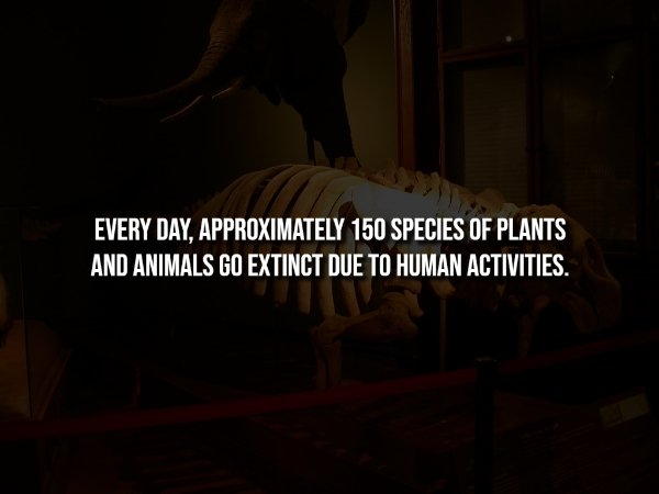 interestingfacts344_014