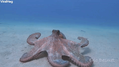 interestingfacts345_008 interestingfacts345_008