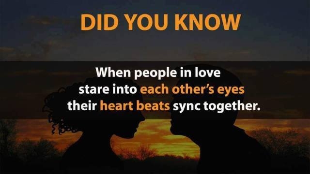 interestingfacts348_003 interestingfacts348_003