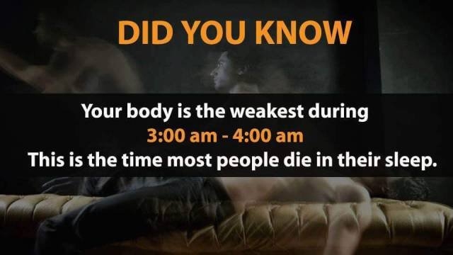 interestingfacts348_005