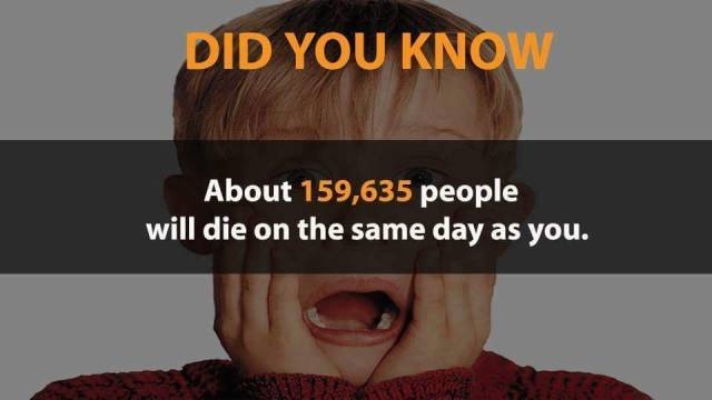 interestingfacts348_010