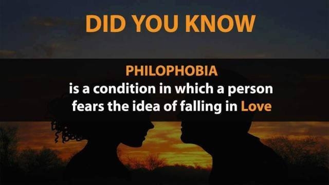 interestingfacts348_014