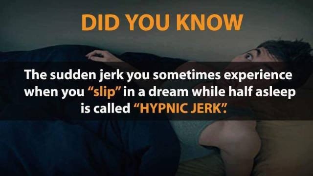 interestingfacts348_016 interestingfacts348_016