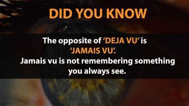 interestingfacts348_017 interestingfacts348_017