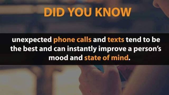 interestingfacts348_018