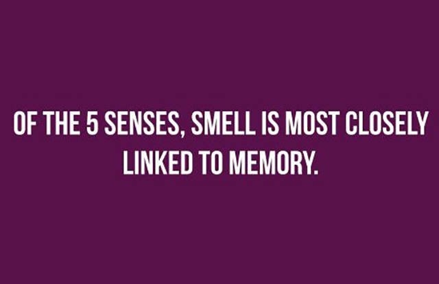 interestingfacts349_024