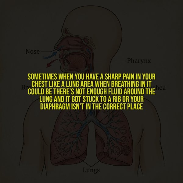 interestingfacts350_004