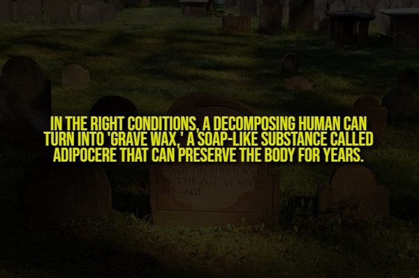 interestingfacts350_007