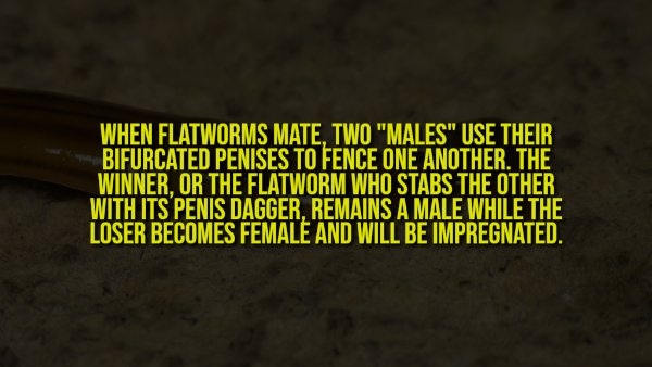 interestingfacts350_011 interestingfacts350_011