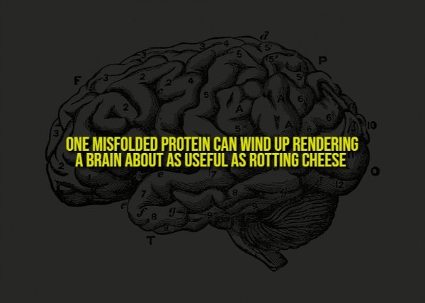 interestingfacts350_013 interestingfacts350_013