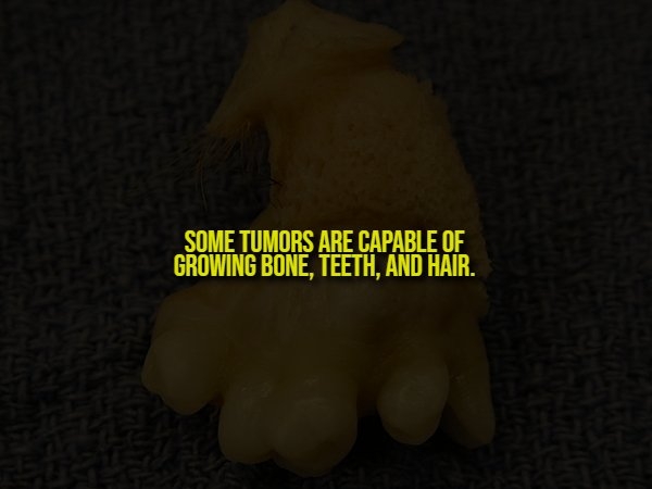 interestingfacts350_014